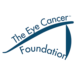 Alcon Foundation logo